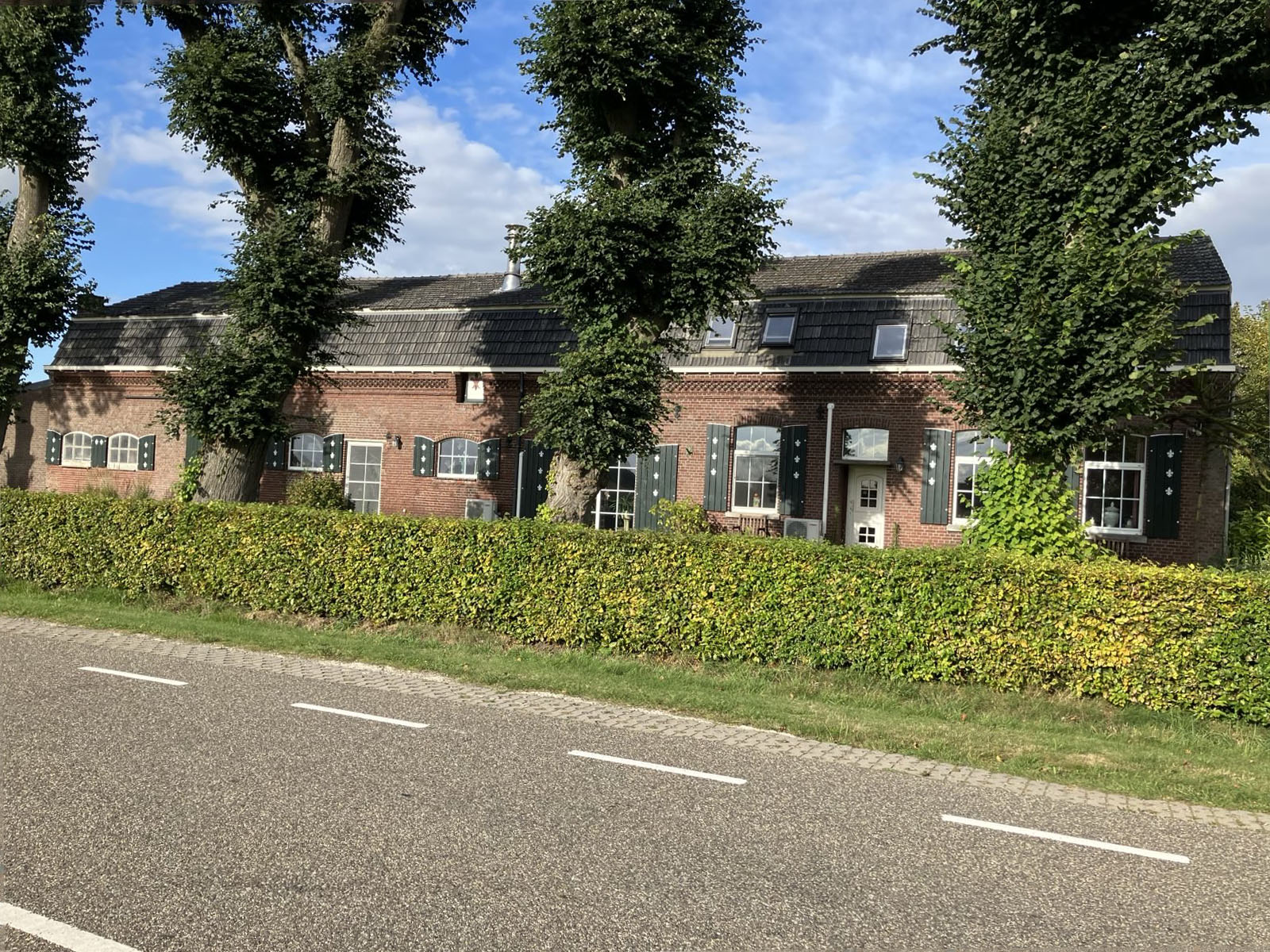 Beringe Kievit 16.jpg